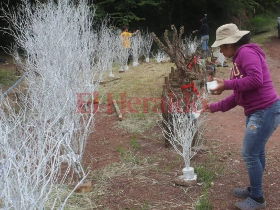 Fotos: El maravilloso encanto de la Navidad plasmado en tradicional y mágica decoración 