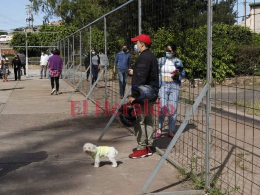 Acompañados de sus caninos, jóvenes acuden a votar en las Elecciones Generales  
