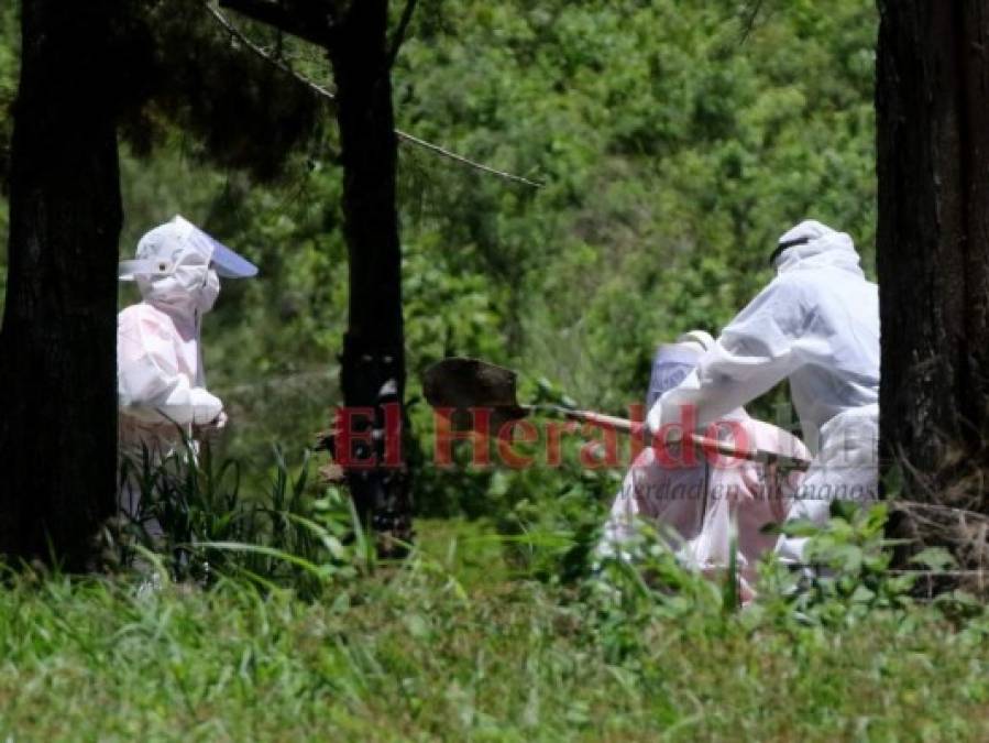 En imágenes: Silencio y hermetismo en entierros durante emergencia por coronavirus