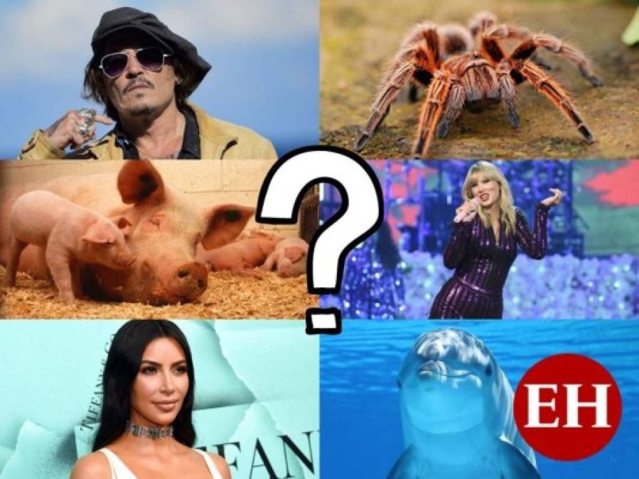 ¿Cuáles son las fobias más sorprendentes y extrañas de los famosos?