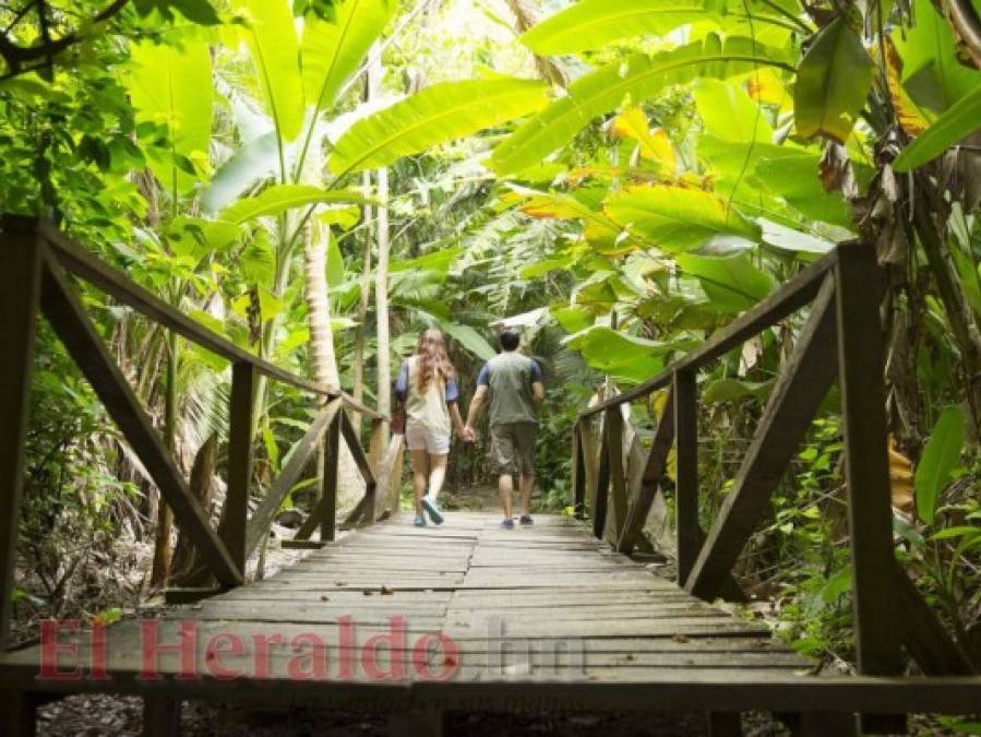 Los paisajes que te invitan a viajar esta Semana Santa a la costa norte de Honduras