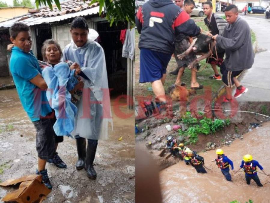 Trasladan a hondureños a albergues por inundaciones tras fuertes lluvias