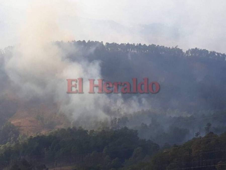 Imágenes del letal incendio que consumió el bosque en El Hatillo