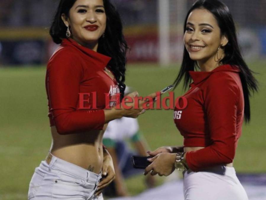 Estas hermosas mujeres visten de gala el partido de repechaje entre Platense-Olimpia