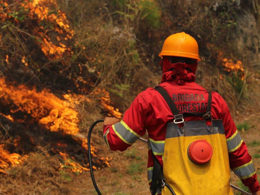 Cansados y sofocados: militares y bomberos trabajan sin cesar para apagar incendio en La Tigra