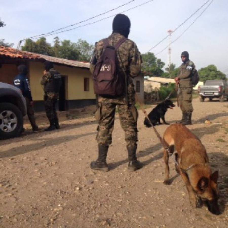 Al menos 14 detenidos en 47 allanamientos de la ATIC en Olancho