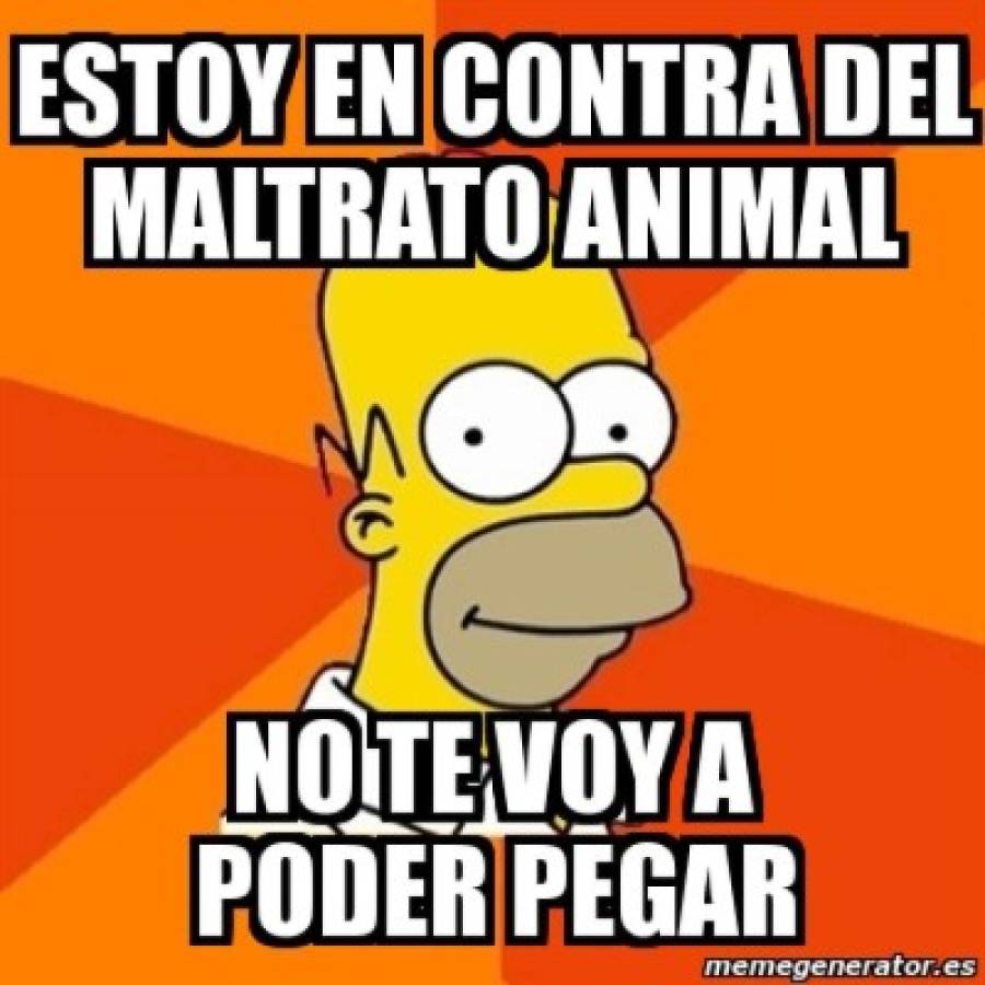 Las mejores imágenes contra el maltrato animal