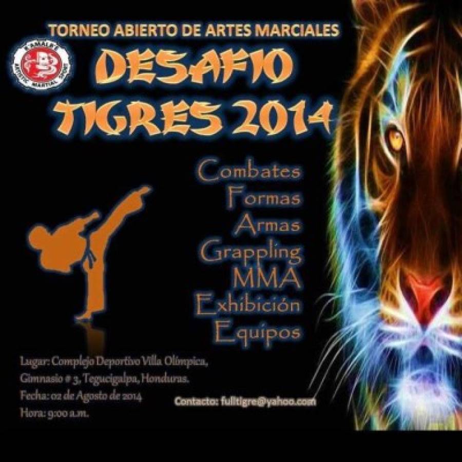 Torneo de artes marciales 'Desafío Tigres 2014' en Tegucigalpa ylt;/