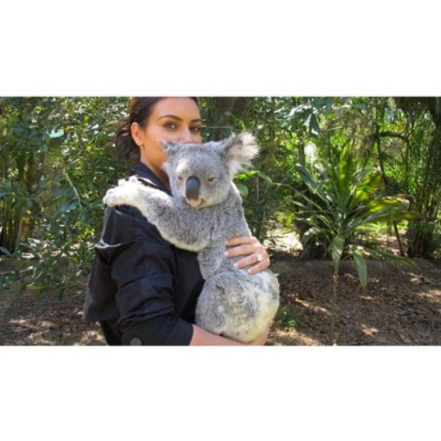 Kim seduce hasta a los koalas