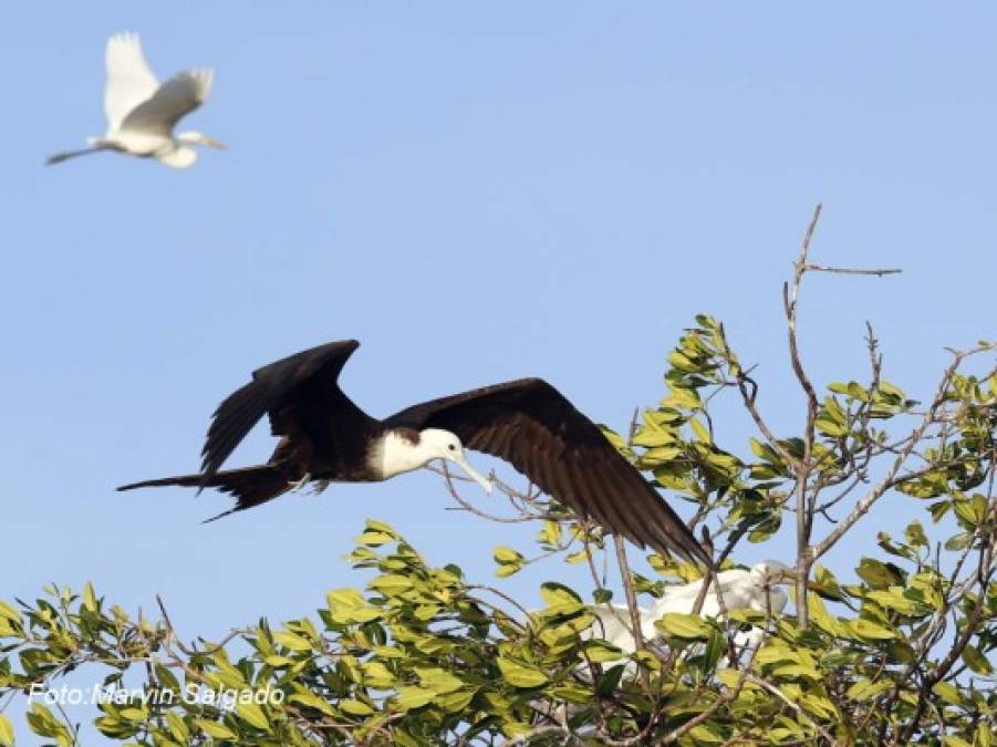 Paisajes de la Isla de los Pájaros en San Lorenzo