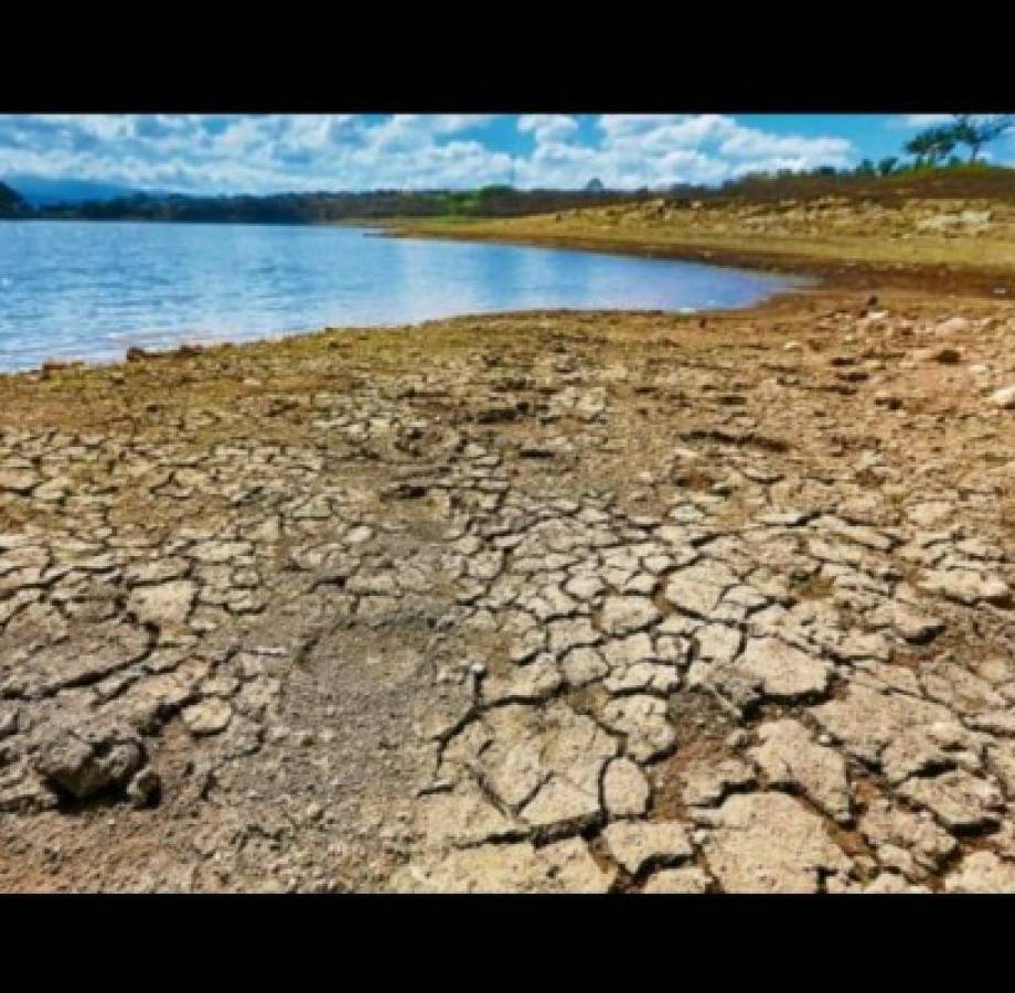 'El Niño” dejará una canícula prolongada