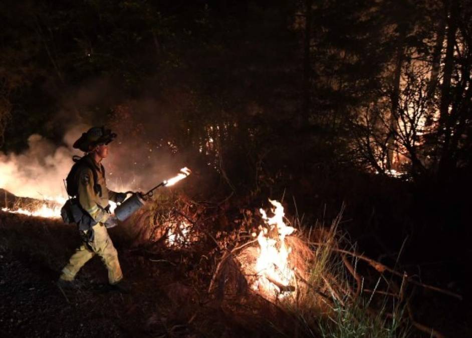 Así son los mortíferos incendios forestales en California, Estados Unidos