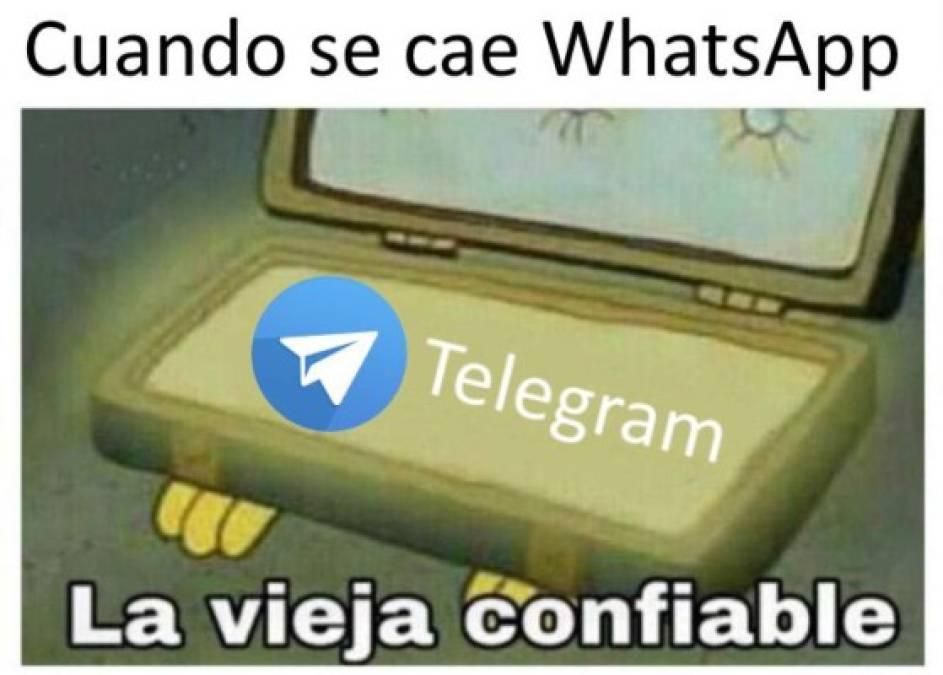 Nuevos términos de Whatsapp provocan lluvia de memes