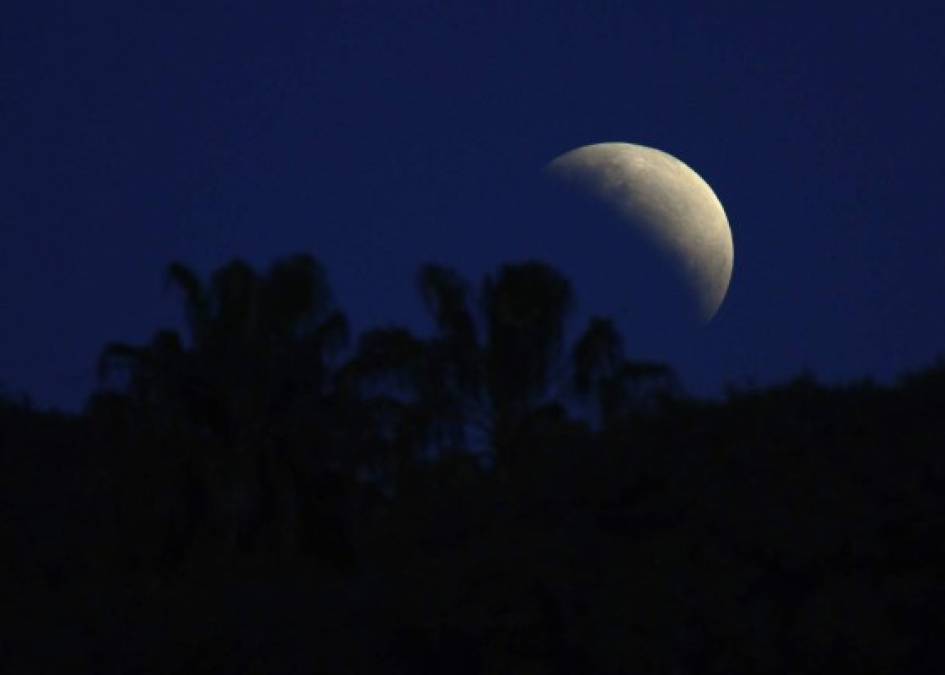 Las hermosas imágenes que dejó el eclipse lunar parcial en varios países del mundo