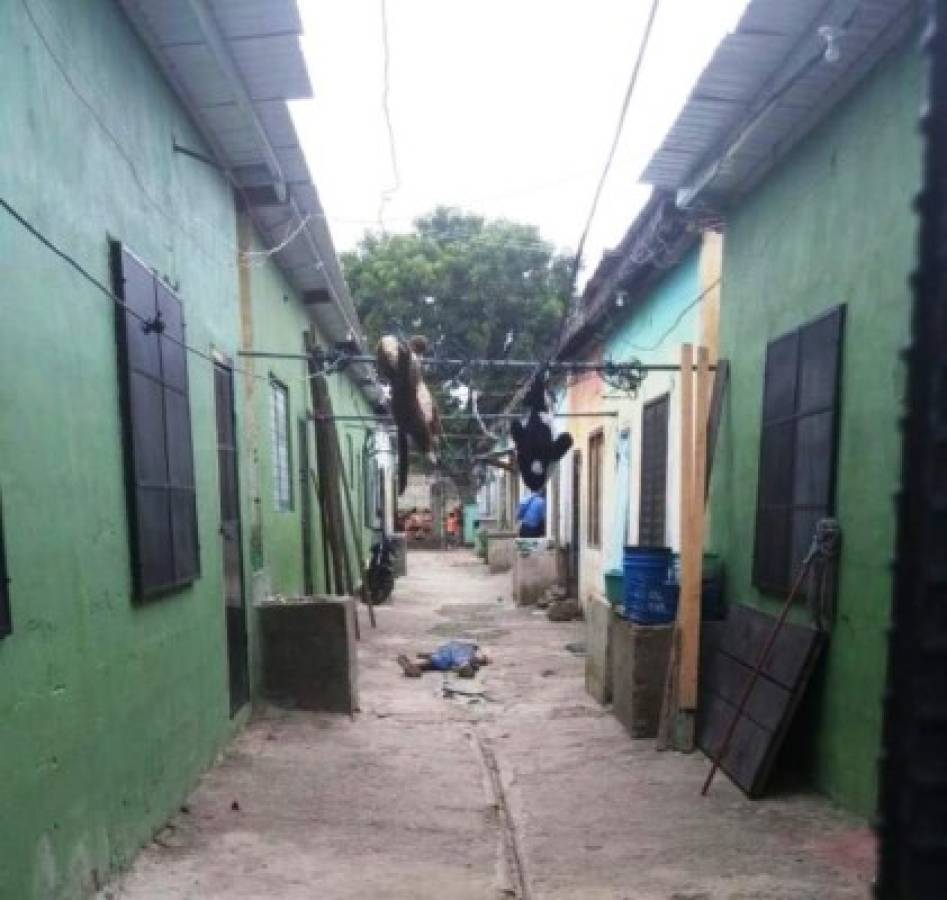 VIDEO: Tres jóvenes muertos deja ataque a una cuartería en San Pedro Sula  