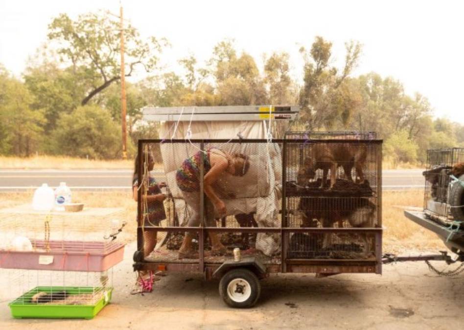 Personas atrapadas, evacuaciones y destrozos por incendios en California (FOTOS)  