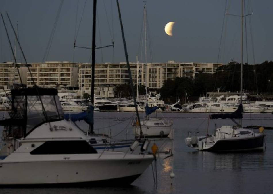 Las hermosas imágenes que dejó el eclipse lunar parcial en varios países del mundo