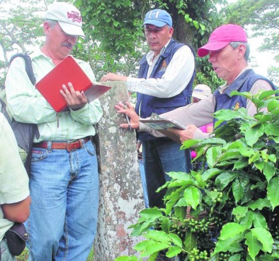 Inicia acuerdo limítrofe entre Danlí y El Paraíso por La Lodosa