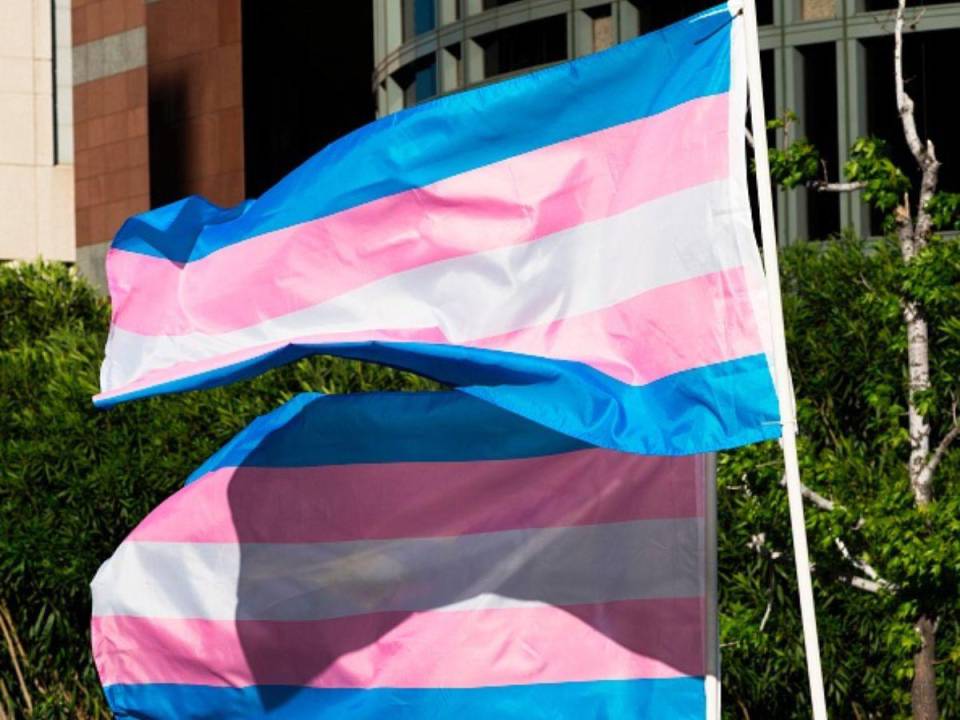 La población transexual ha mostrado su fuerte rechazo hacia la clasificación, señalándola como discriminatoria.
