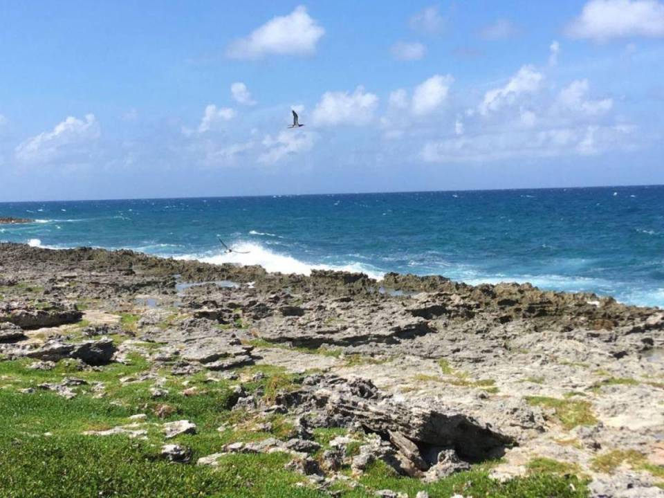 Las Islas del Cisne forman un archipiélago con un área aproximada de 8 km² de superficie, se encuentra en el Caribe de Honduras.