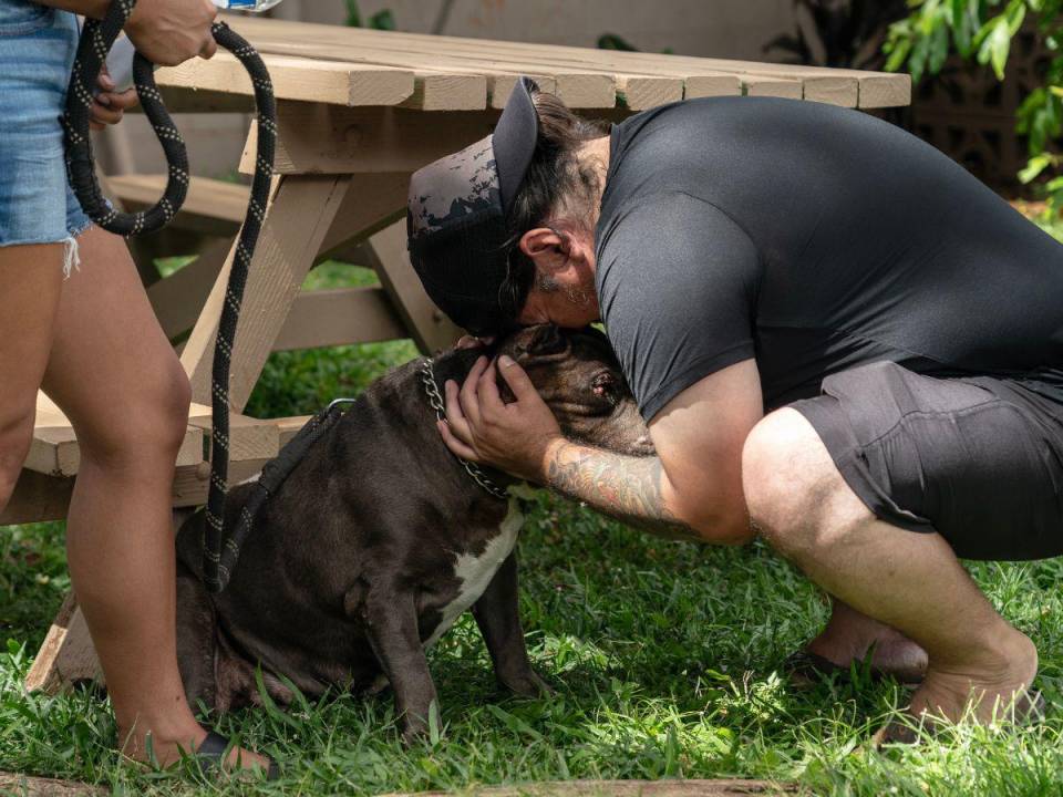 Rafael Ochoa, residente de Lahaina, con su perra, Bella, en la Sociedad Humana de Maui en Puunene, Hawái, el 15 de agosto de 2023.