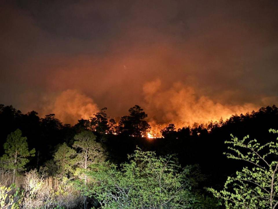 A eso de las 3:00 de la mañana se logró controlar el fuerte siniestro que dejó varias hectáreas de bosque dañanas y hasta animales muertos.