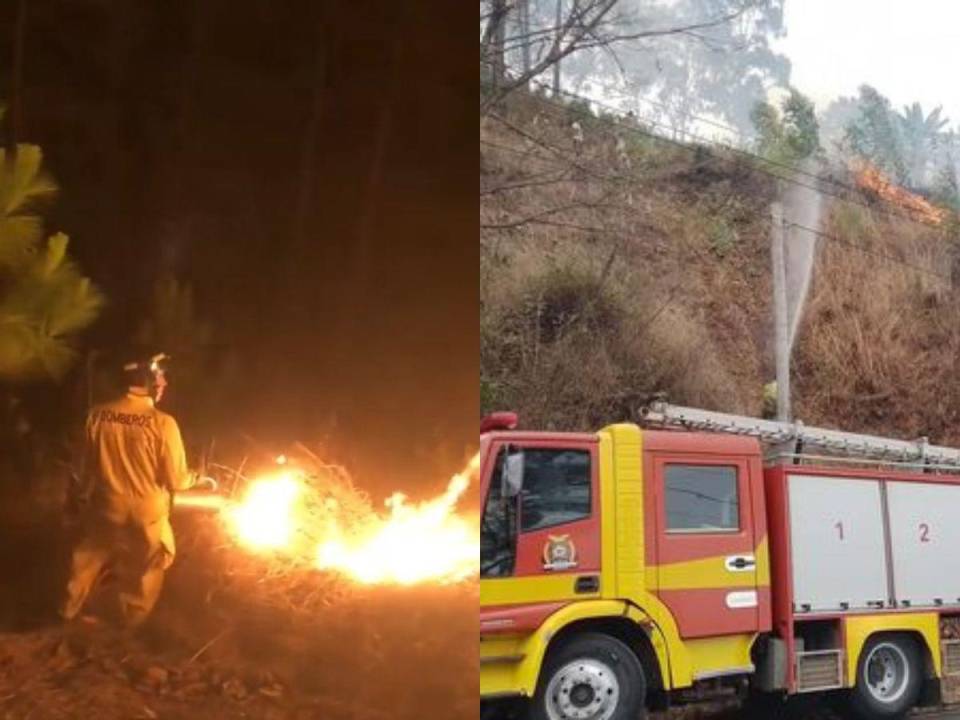 Desde horas de la tarde de ayer lunes -18 de marzo- con el uso de helicópteros y personal en tierra, el Cuerpo de Bomberos con el apoyo de instituciones como las Fuerzas Armadas y la Fuerza Área Hondureña (FAH) luchan con el fin de controlar el incendio registrado en el Parque Nacional La Tigra. , el pavoroso siniestro continúa activo siendo un total de seis zonas las atendidas por el personal. A continuación los detalles.