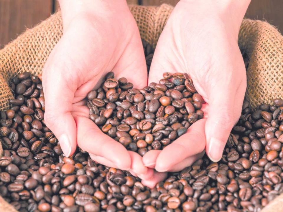 En la medida de sus posibilidades el sector exportador de café trabaja en la certificación, pero se requiere de una participación activa.