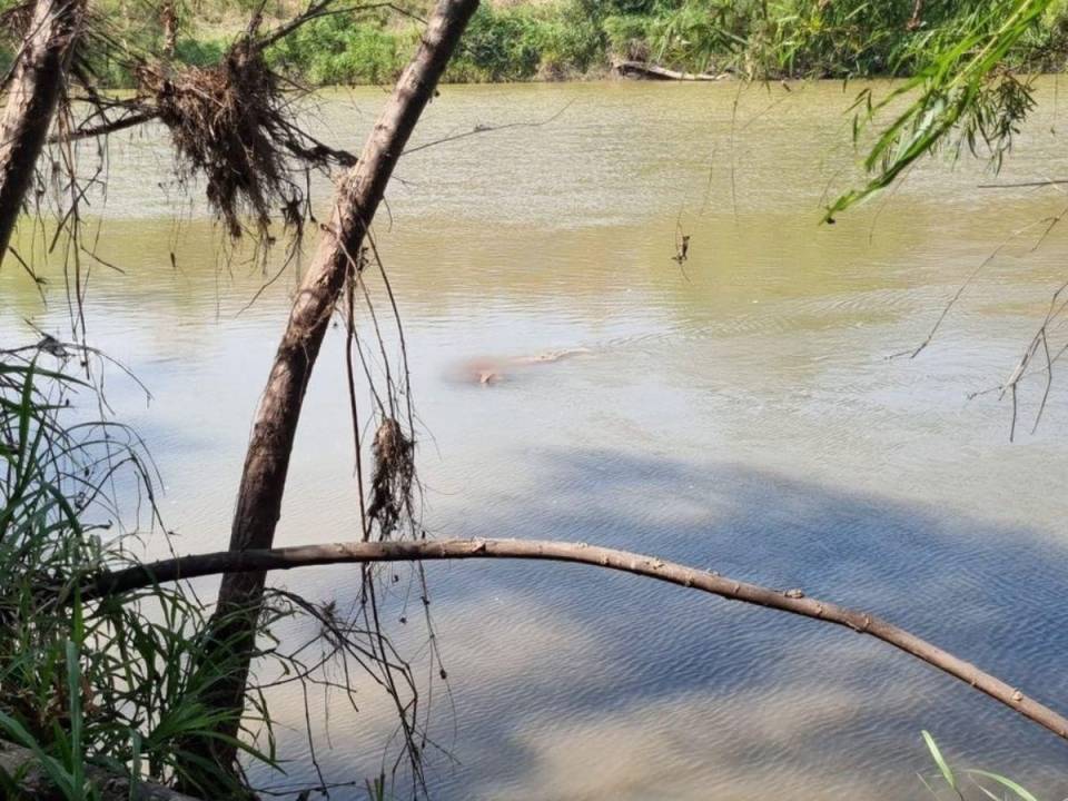 El cadáver de una fémina fue encontrado en medio del río Guayape de Catacamas, Olancho.