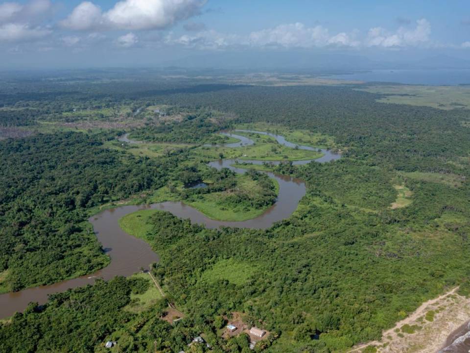 La amenaza más grande de deforestación que sufre la Biósfera del Río Plátano y La Mosquitia es la invasión de zonas forestales para la práctica de la ganadería ilegal.
