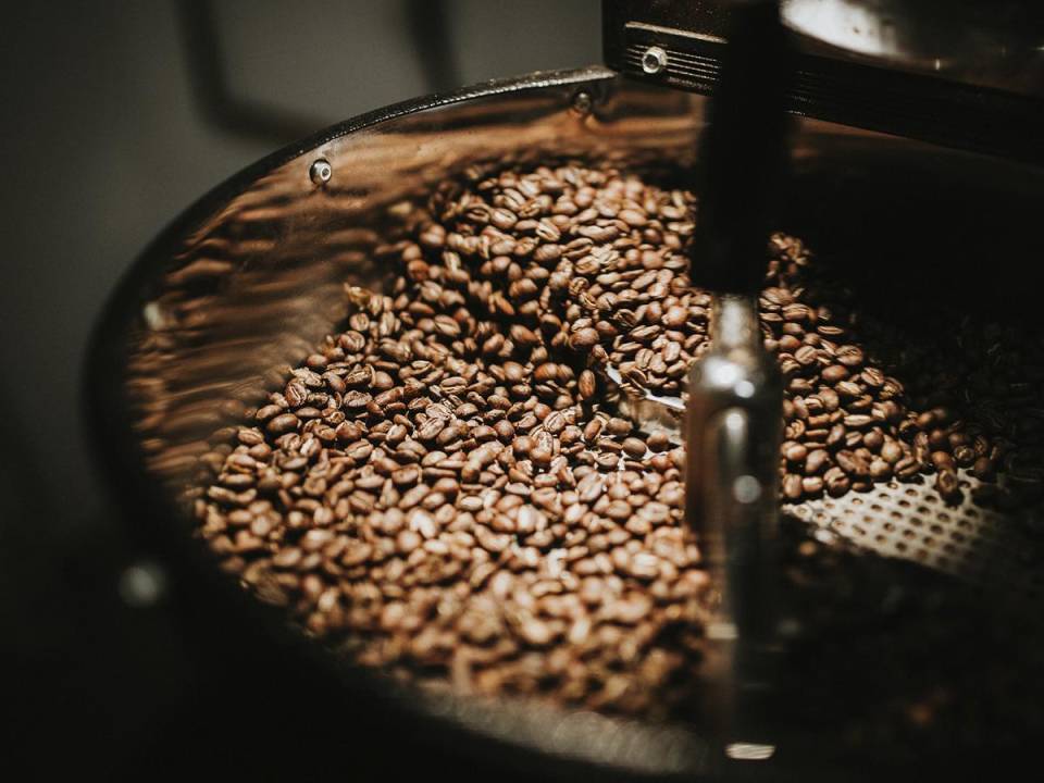 Una experiencia en Finca Santa Isabel, conoce el proceso del café en un entorno de biodiversidad única.