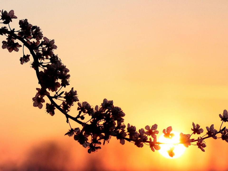 Cuando el equinoccio de otoño marca el inicio del otoño, en el hemisferio sur se marca el inicio de la primavera.