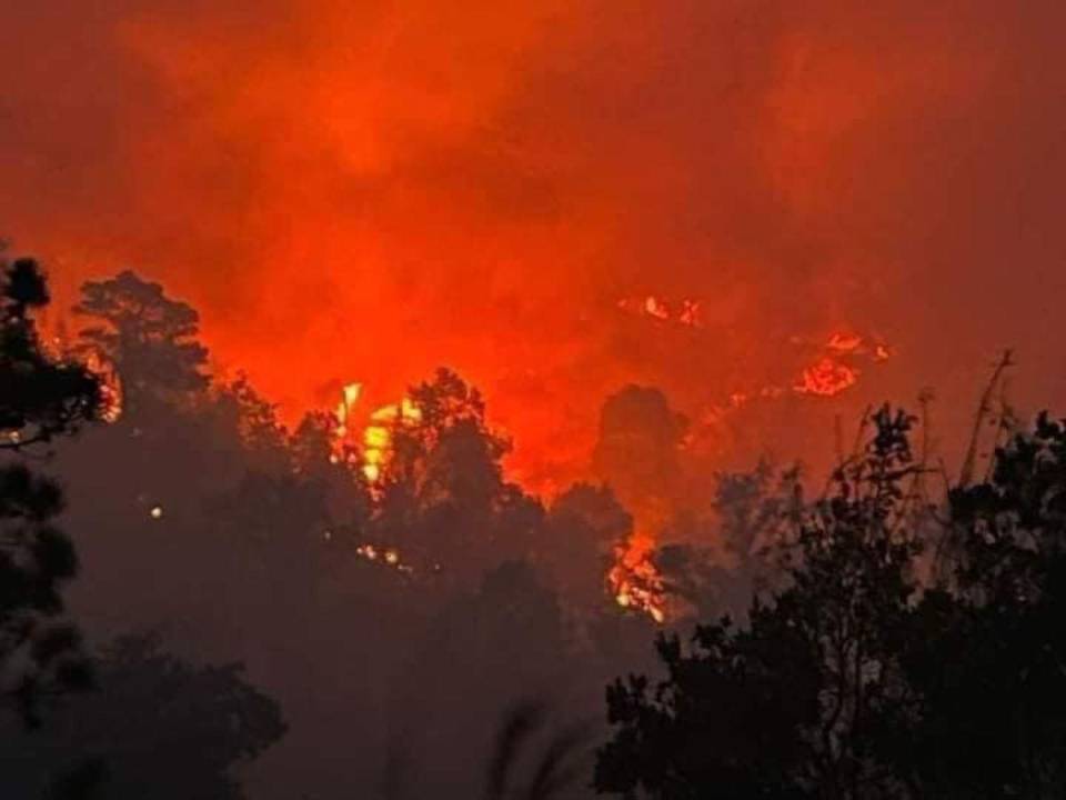 Un fuerte incendio mantiene en llamas la reserva biológica de Misoco. El ICF aseguró haber controlado la situación, sin embargo, ciudadanos compartieron imágenes del siniestro en horas de la noche.