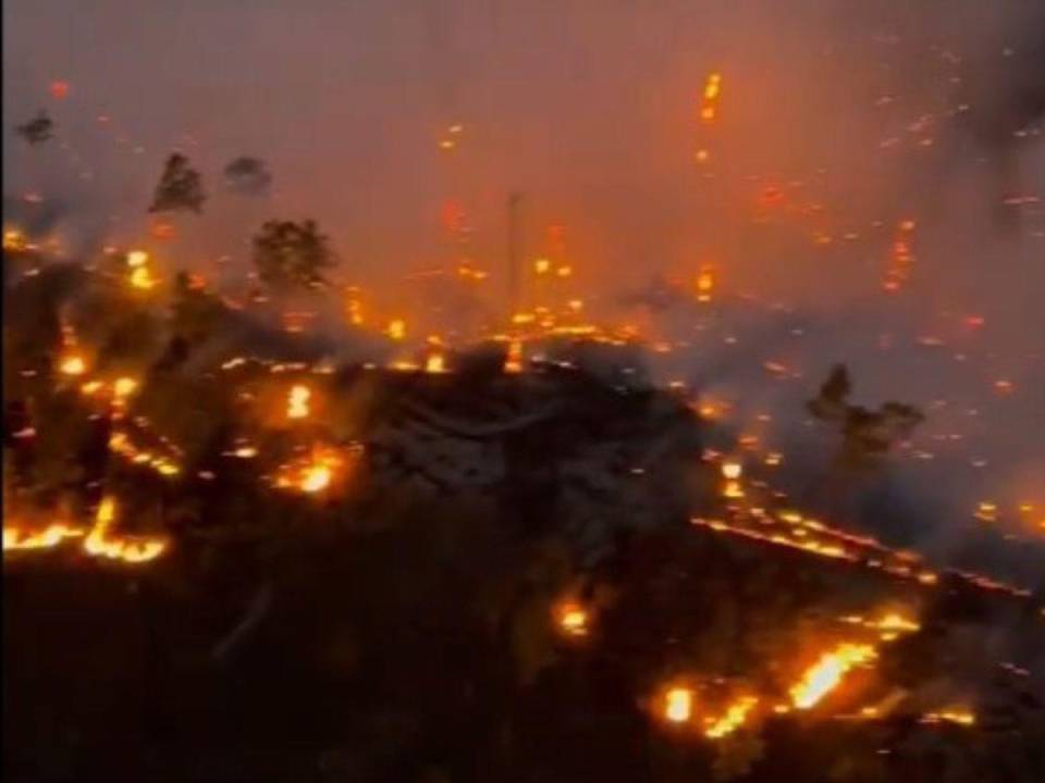 Hasta el momento se desconoce las causas por las que se habría activado el fuerte incendio en la zona.