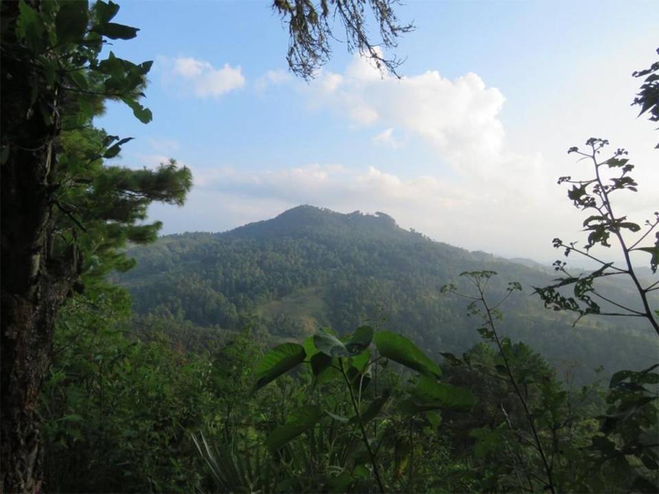 Vista panorámica del Refugio de Vida Silvestre Suyapa Luis Hernán Baca Valladares “Mero” en la Aldea de Suyapa.