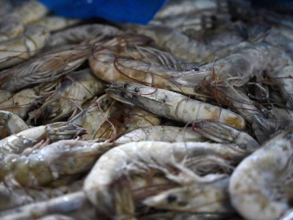 Las exportaciones de camarón a México sumaron 18.1 millones de libras por un valor de 64.7 millones de dólares.