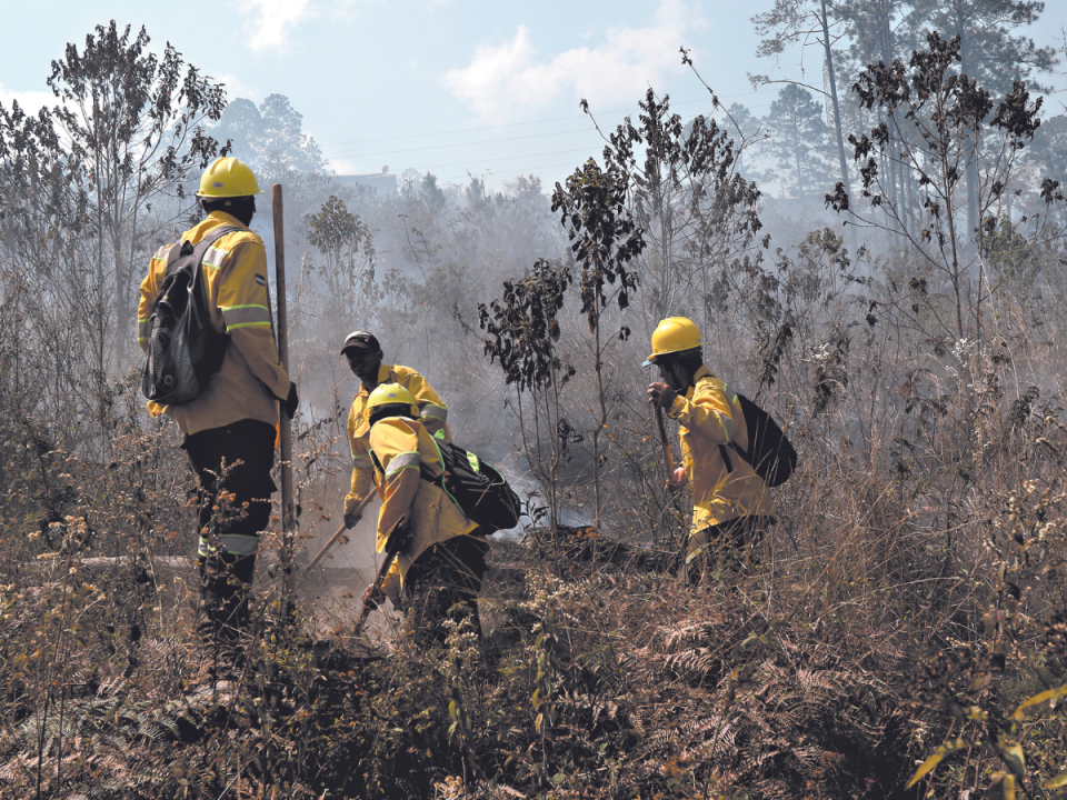 Este 2024 se aumentará el porcentaje de incendios forestales debido a que las temperaturas serán mayores.