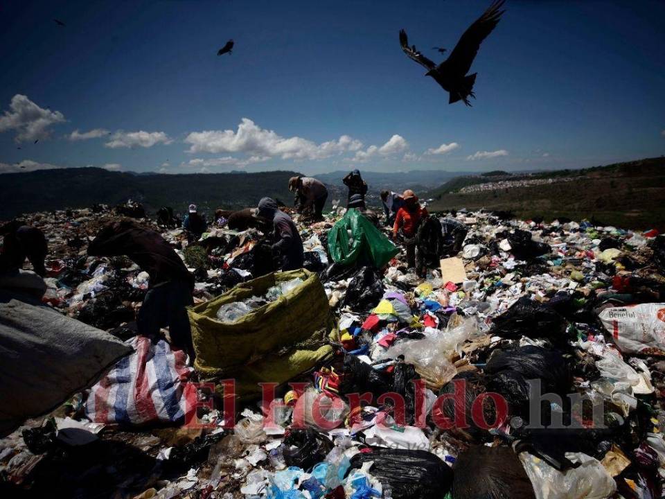 El Botadero Municipal tiene más de 130 manzanas y consta de cuatro celdas, algunas no se pueden utilizar por la cercanía con colonias aledañas.