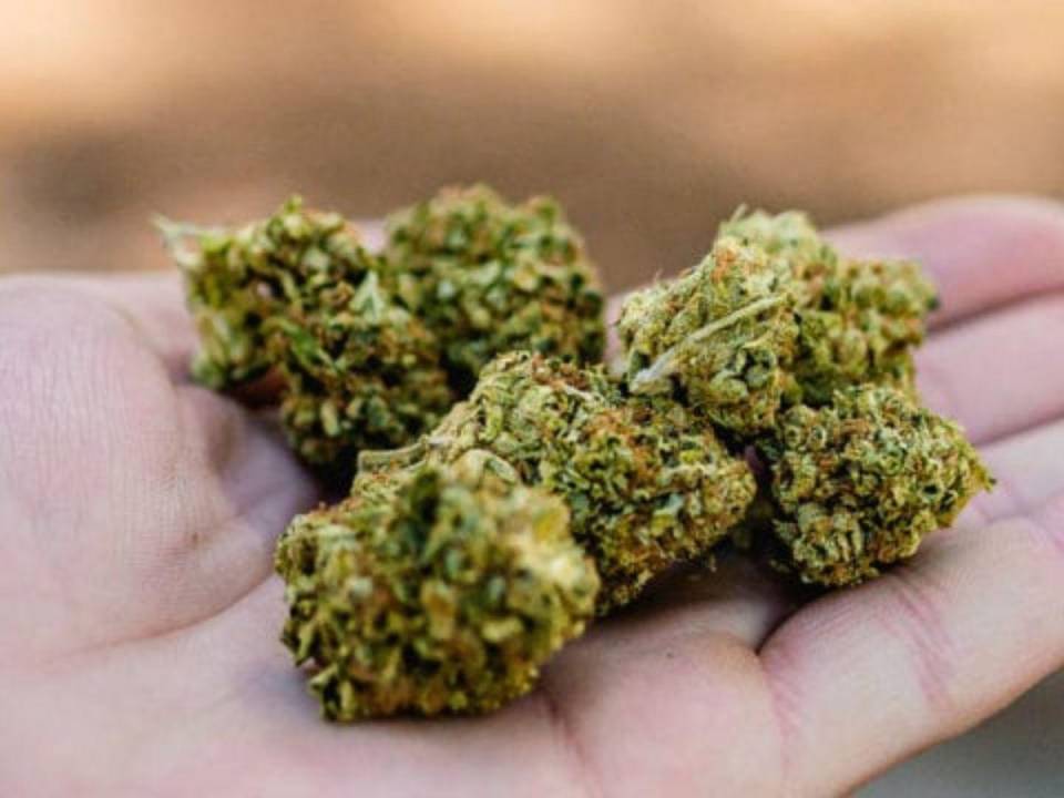 Estados Unidos a punto de reclasificar la marihuana como droga menos peligrosa