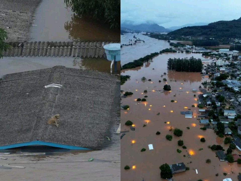 El drama por las inundaciones se agudiza este martes en Porto Alegre, donde varias ciudades del sur de Brasil se encuentran bajo el agua debido a las incesables lluvias en los últimos días. A continuación las imágenes impactantes de esta catástrofe.