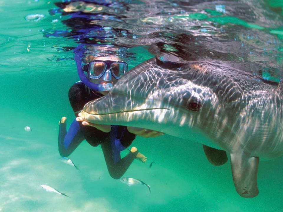 Roatán es una isla en el mar Caribe, situada a unos 65 kilómetros al norte de la costa norte de Honduras. Es la isla más grande del archipiélago de las Islas de la Bahía.