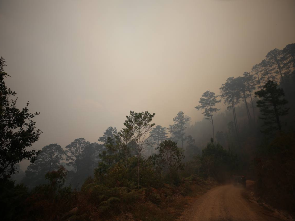 Tras el voraz incendio registrado en La Tigra, las altas temperaturas aumentan cada vez más.