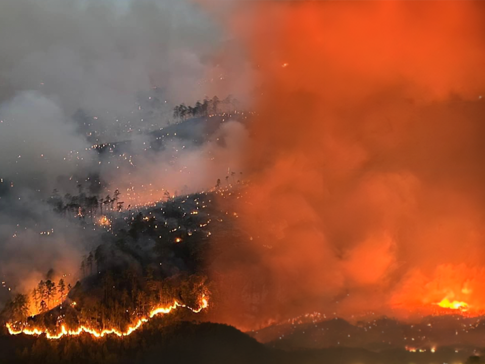 El Parque Nacional La Tigra se convirtió en un caótico escenario infernal tras desatarse un voraz incendio forestal, el cual ha arrasado con decenas de hectáreas de bosque en menos de 20 horas. Aquí te mostramos la recopilación de las imágenes más impactantes hasta el momento.