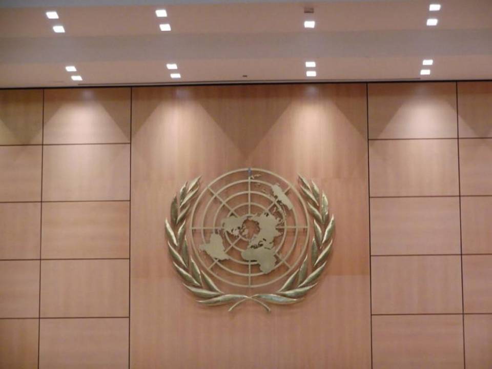 Con sede en Ginebra, el Consejo de Derechos Humanos (47 miembros) es el principal foro de Naciones Unidas sobre ese asunto.