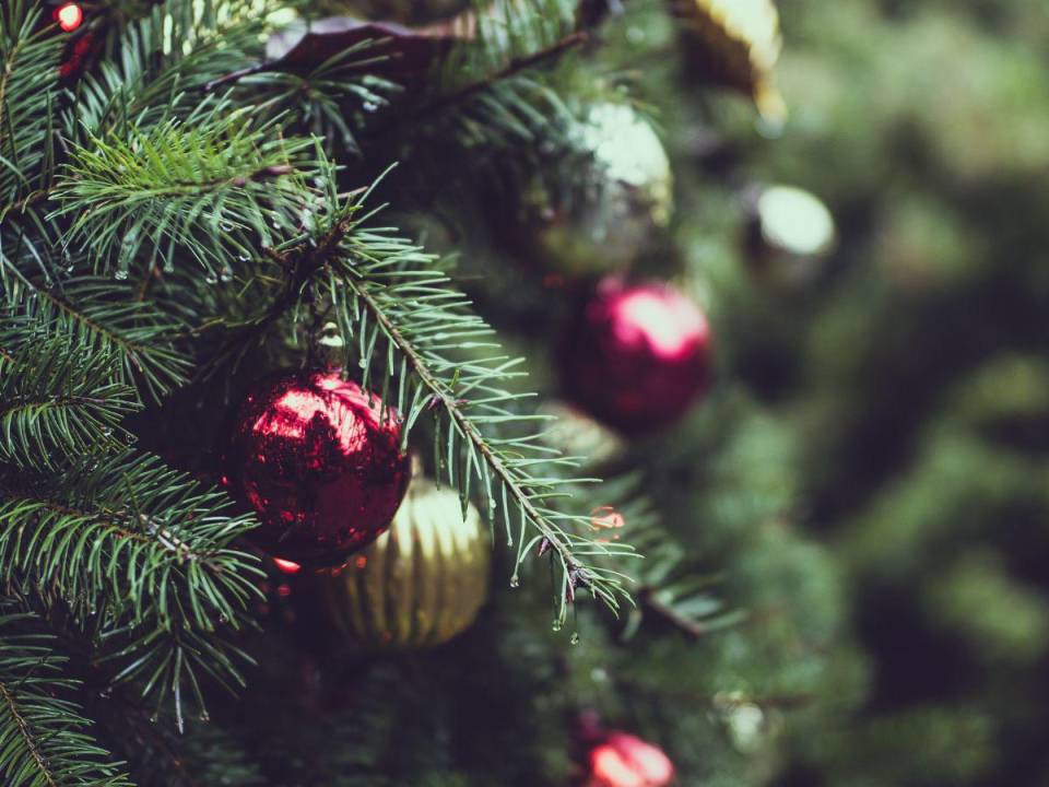 La creatividad y las tendencias serán claves a la hora de elegir las decoraciones navideñas correctas e ideales para tu hogar.
