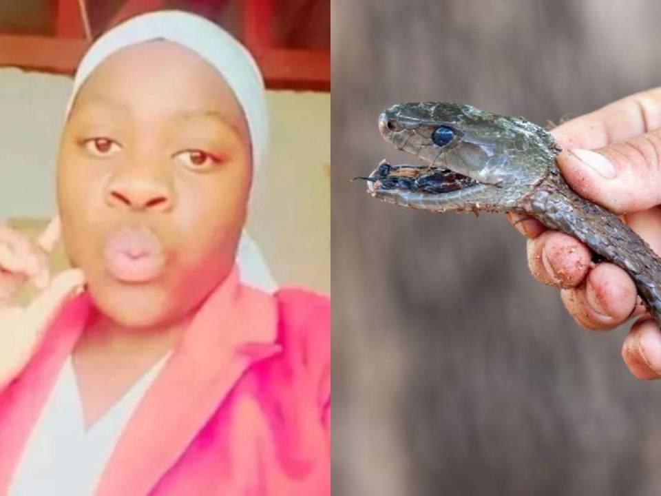 Melody Chiputura era una estudiante de 17 años de Rushinga, Zimbabue, al sur de África, que murió después de que una mamba negra se abalanzara sobre su muslo y la mordiera dentro del aula. Falleció 30 minutos después de la mordedura y esto es lo que se conoce tras el ataque del venenoso animal.