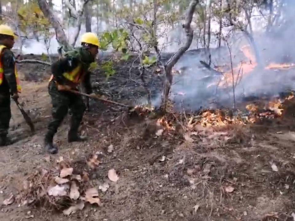 El fuego continúa consumiendo la zona verde del Cerro Capire que pese a la intensa labor de brigadista y voluntarios y además de una leve brisa, no ha sido controlado en su totalidad.