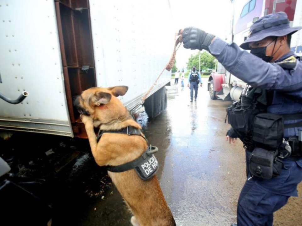 La inspección con perros antinarcóticos es uno de los filtros que deben pasar los vehículos que circulan por la frontera entre Honduras y Nicaragua, aunque investigaciones dicen que hay agentes involucrados en permitir el paso de droga.