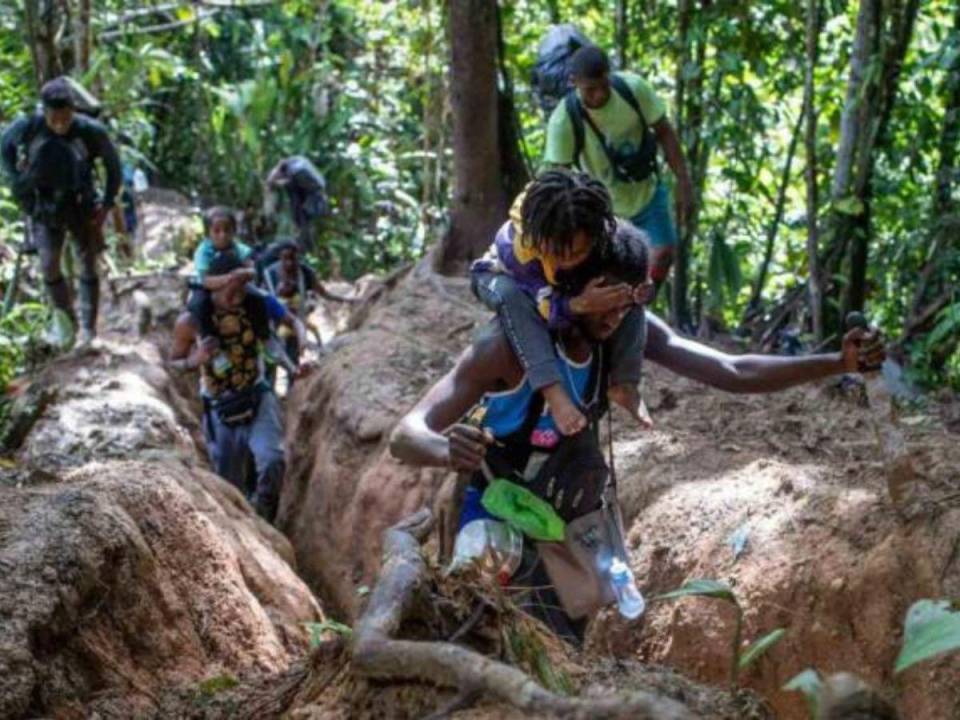 En 2023, más de 520,000 personas cruzaron la selva, pese a que enfrentan peligros como animales salvajes, ríos caudalosos y grupos criminales.