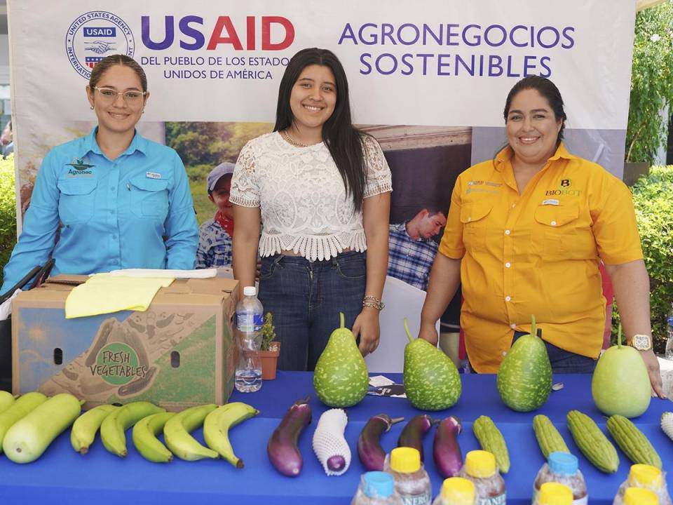 <i>Jóvenes emprendedores del sector agrícola presentan sus innovadoras creaciones en la Agroferia 2024, con el respaldo de Agronegocios Sostenibles.</i>